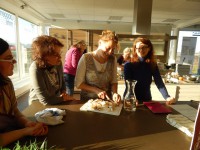 /album/fotogalerie/dscn0604-jpg/